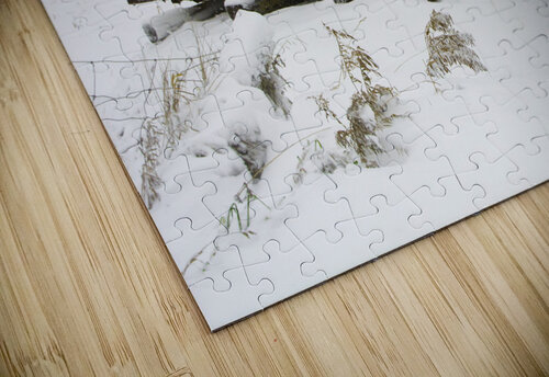 JBS 5025 James Shedden Photography puzzle