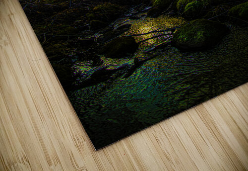 JBS 9682  James Shedden Photography puzzle