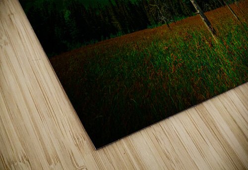 DSC 2076  James Shedden Photography puzzle