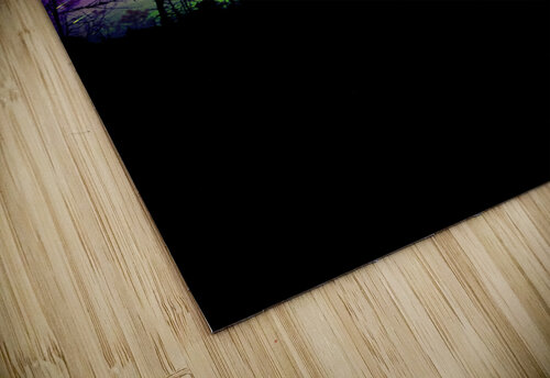 Swamp Northern Lights James Shedden Photography puzzle