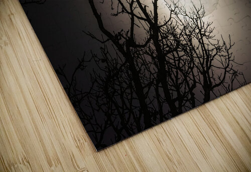 JBS 59702 James Shedden Photography puzzle