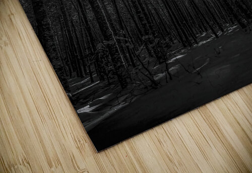 NIGHTWOODS James Shedden Photography puzzle