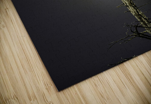 JBS 0997 James Shedden Photography puzzle