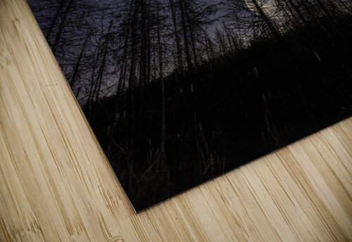 JBS 0765 James Shedden Photography puzzle