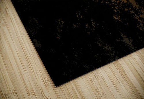JBS 3573  James Shedden Photography puzzle