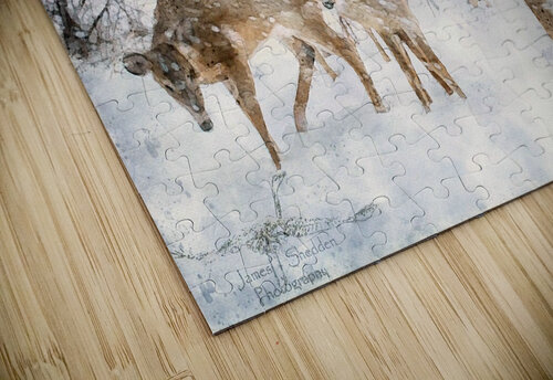 JBS 3204 2  James Shedden Photography puzzle