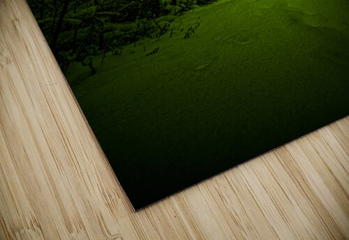 Z62 0234 2  James Shedden Photography puzzle