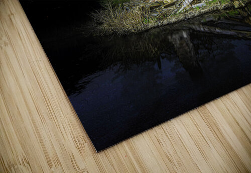 DSC 4623  James Shedden Photography puzzle