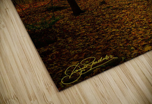 DSC 3665 1 James Shedden Photography puzzle