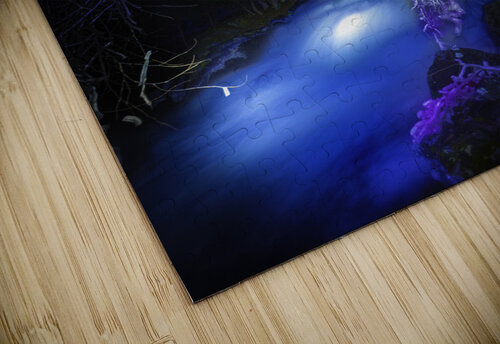 JBS 0689  James Shedden Photography puzzle