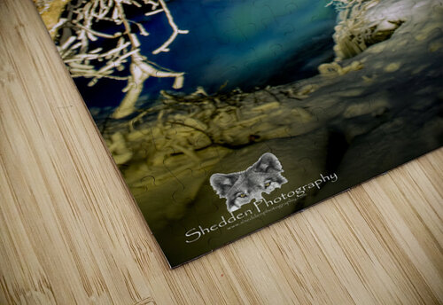 JBS 0725  James Shedden Photography puzzle