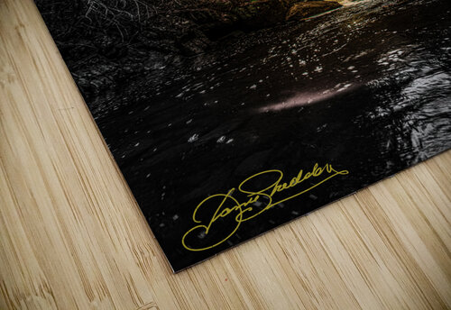 JBS 0868  James Shedden Photography puzzle