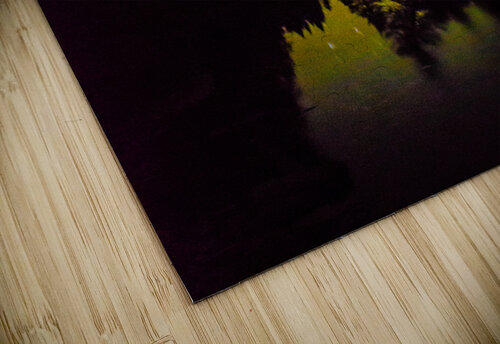 JBS 2540 James Shedden Photography puzzle