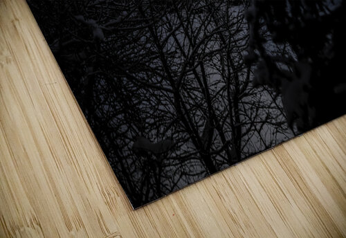 JBS 4554  James Shedden Photography puzzle