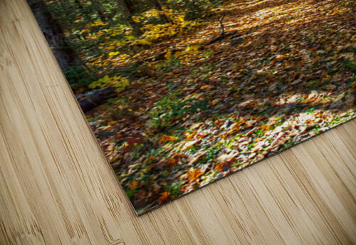 JBS 7125 James Shedden Photography puzzle