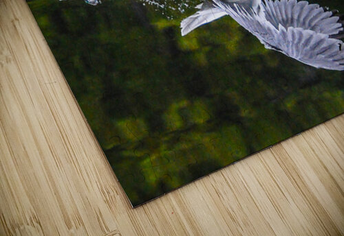  1seagull James Shedden Photography puzzle