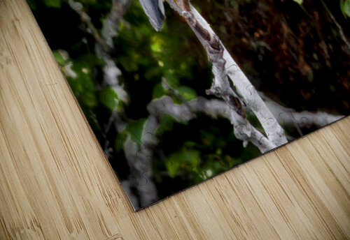 JBS 3072 James Shedden Photography puzzle