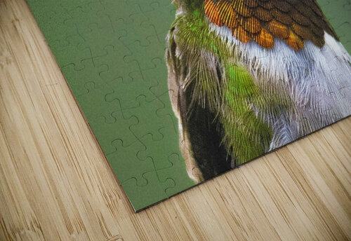 JBS 4152 James Shedden Photography puzzle