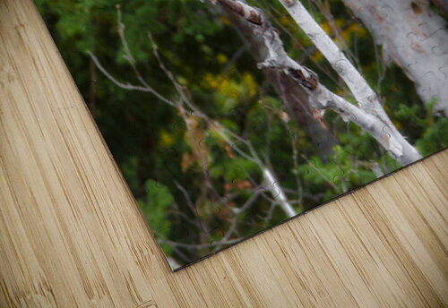 JBS 3060 James Shedden Photography puzzle