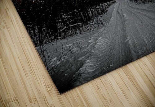 JBS 0236  James Shedden Photography puzzle