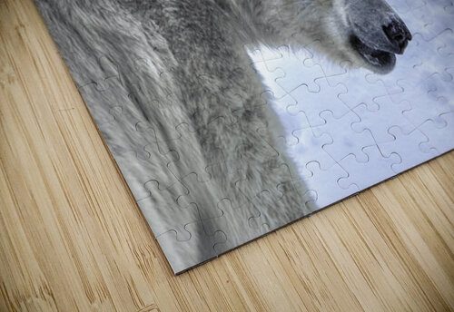 JBS 9247 James Shedden Photography puzzle