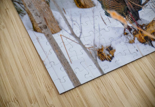 JBS 5958 James Shedden Photography puzzle