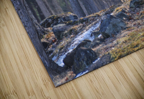 JBS 8417 James Shedden Photography puzzle