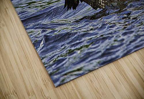 JBS 23862 James Shedden Photography puzzle