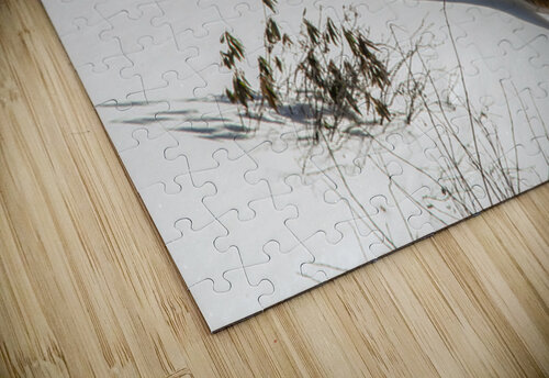 JBS 8781 James Shedden Photography puzzle