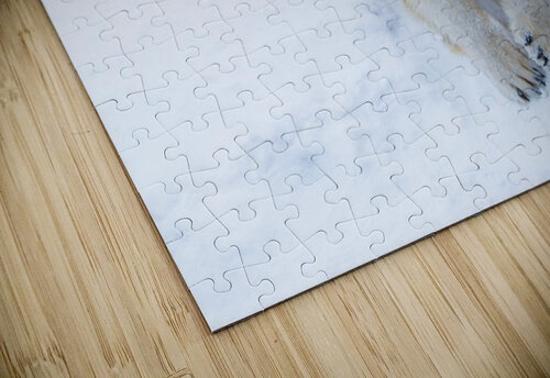 JBS 8373 James Shedden Photography puzzle