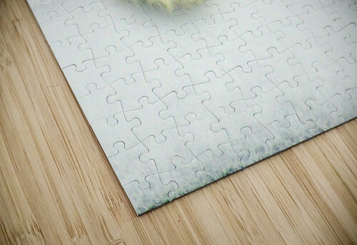 JBS 9269 James Shedden Photography puzzle