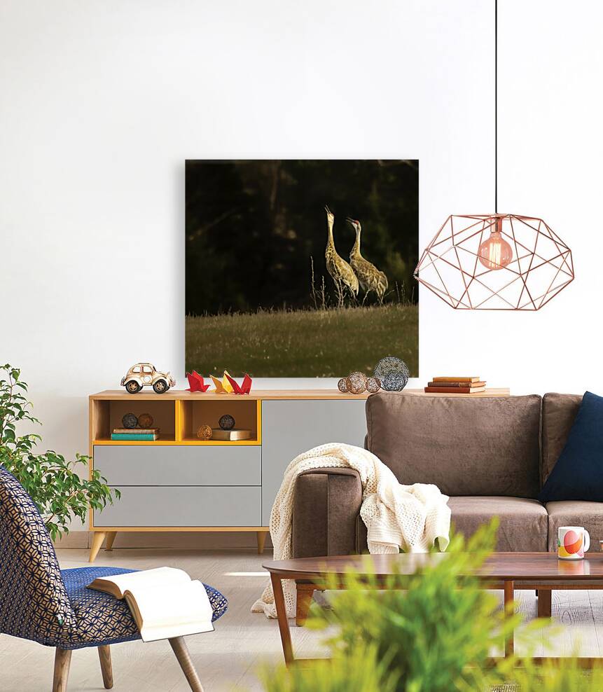 JBS 0918 Reproduction