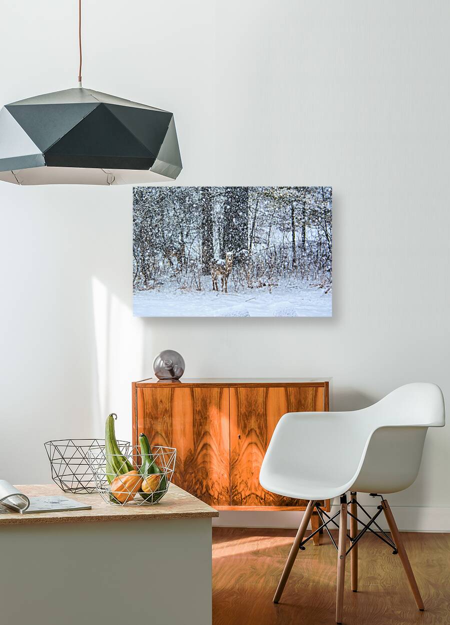 JBS 0383  Reproduction