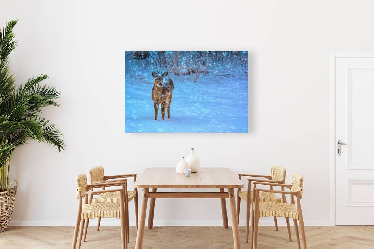 JBS 0395  Reproduction