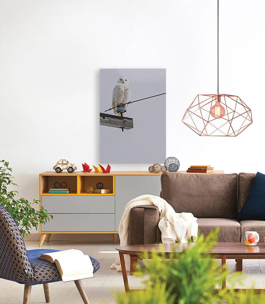 DSC 1897 Reproduction