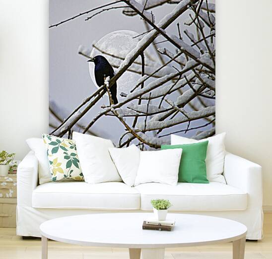 JBS 0164  Reproduction