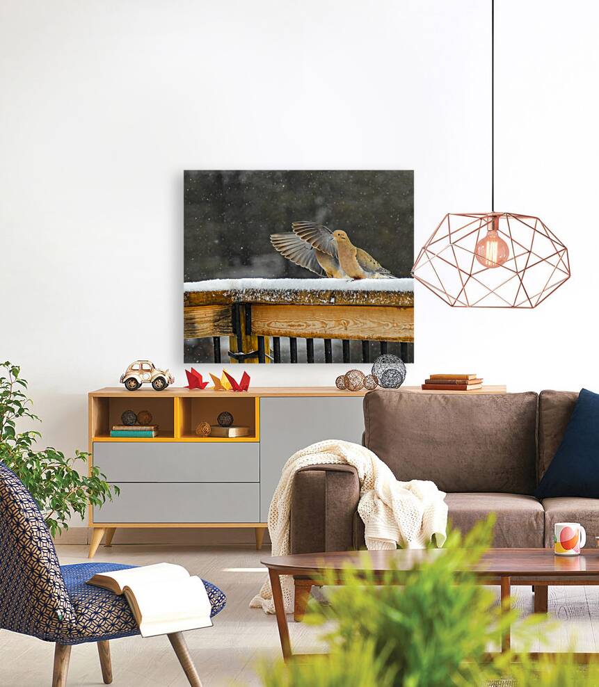  JBS9534 Reproduction