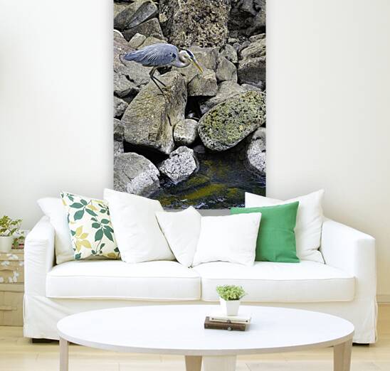 JBS 1629 Reproduction