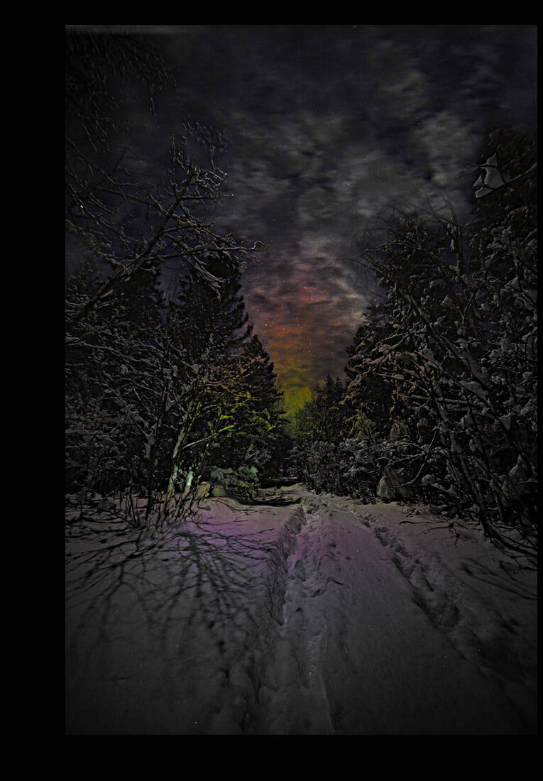 ZJS 6936  Reproduction