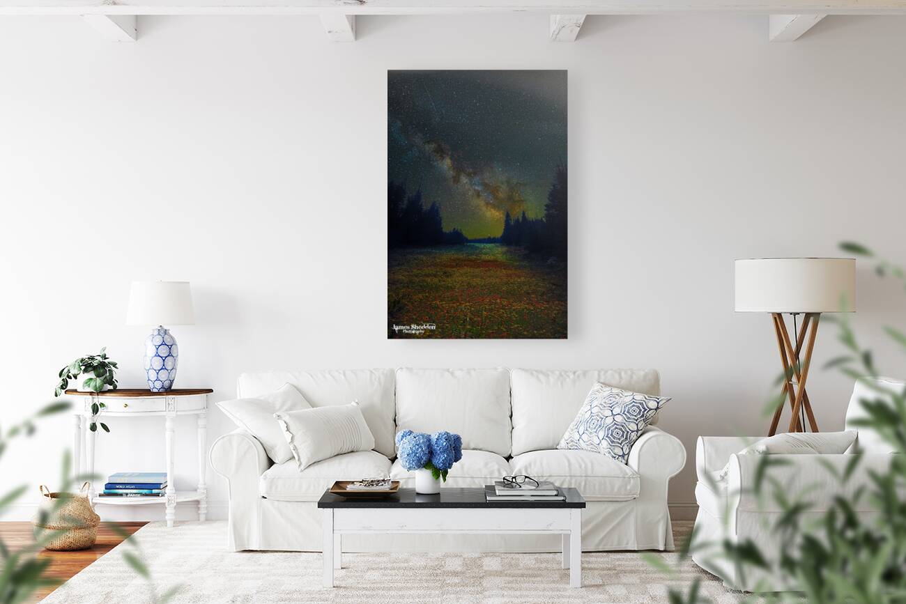 JBS 4834  Reproduction