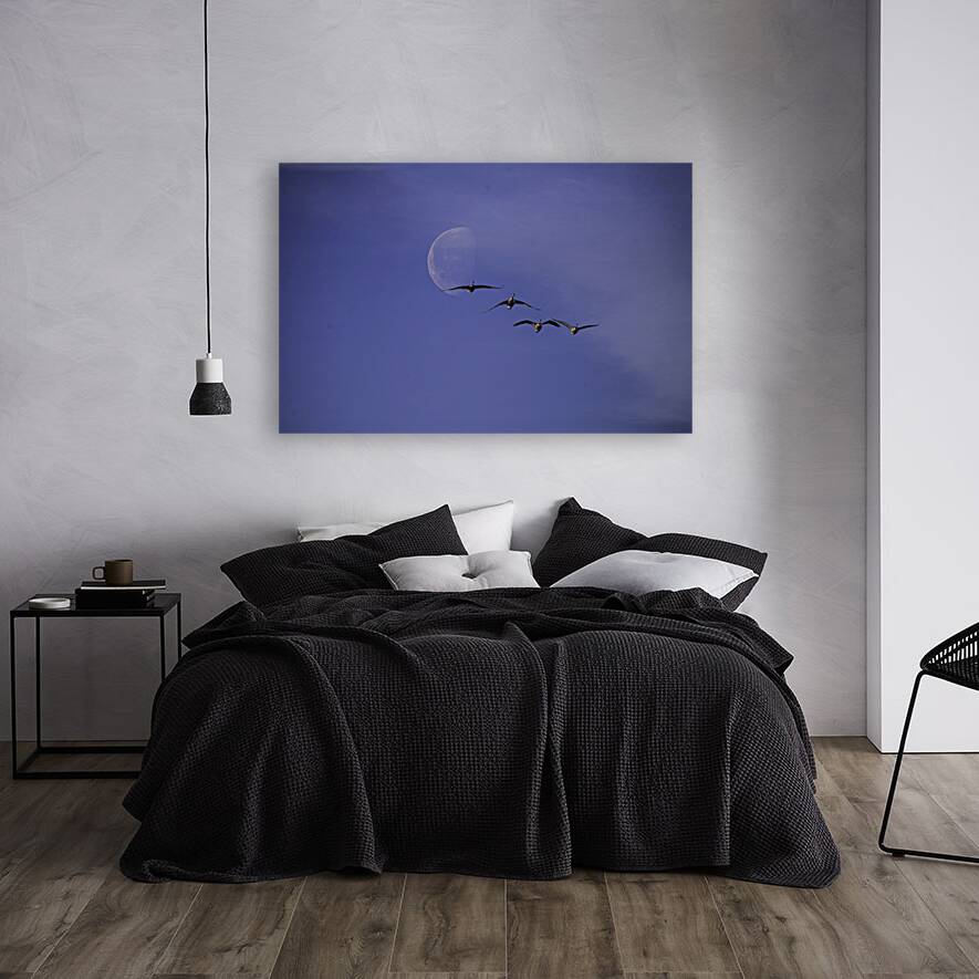 JBS 5264  Reproduction