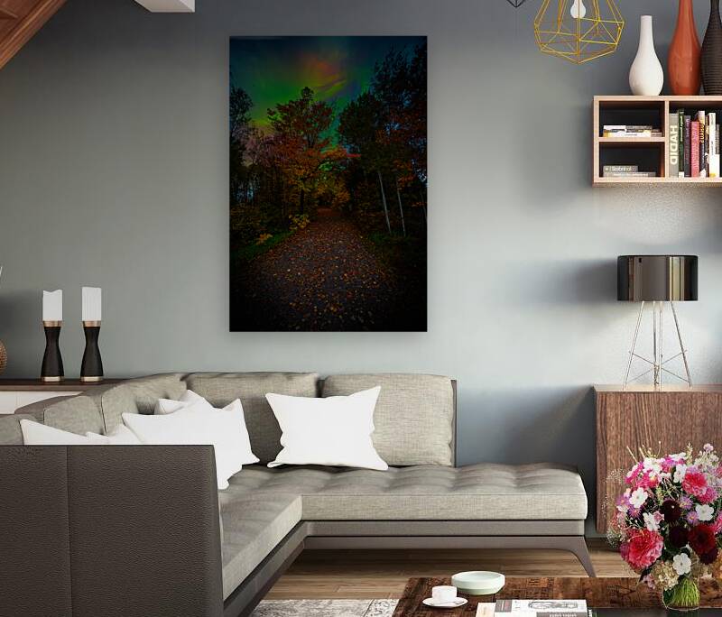 JBS 3816  Reproduction