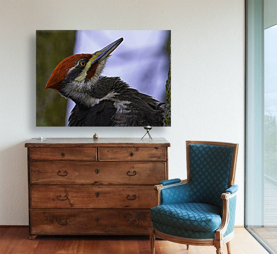 JBS 5301  Reproduction