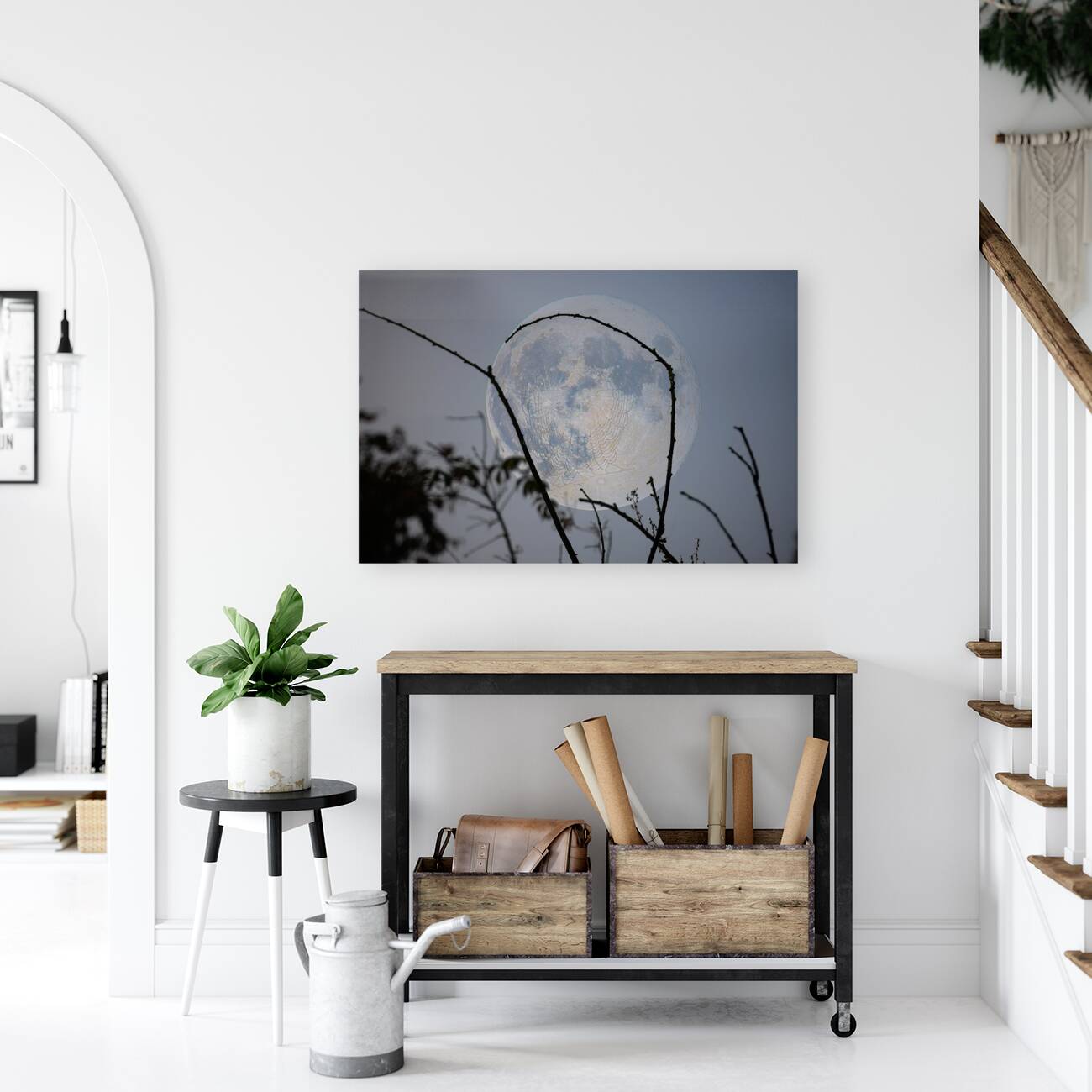 ZJS 8305  Reproduction