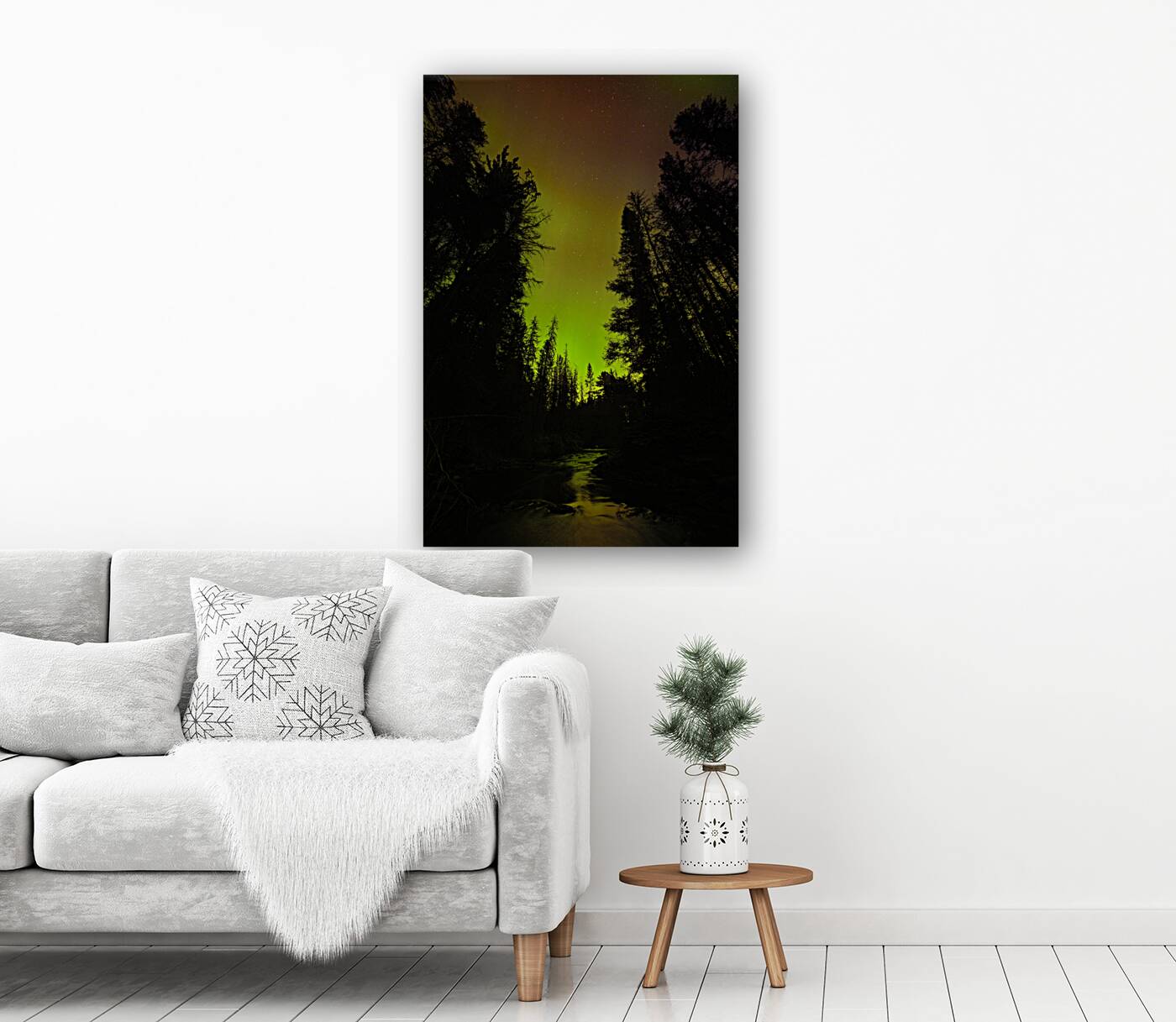 JBS 2069  Reproduction