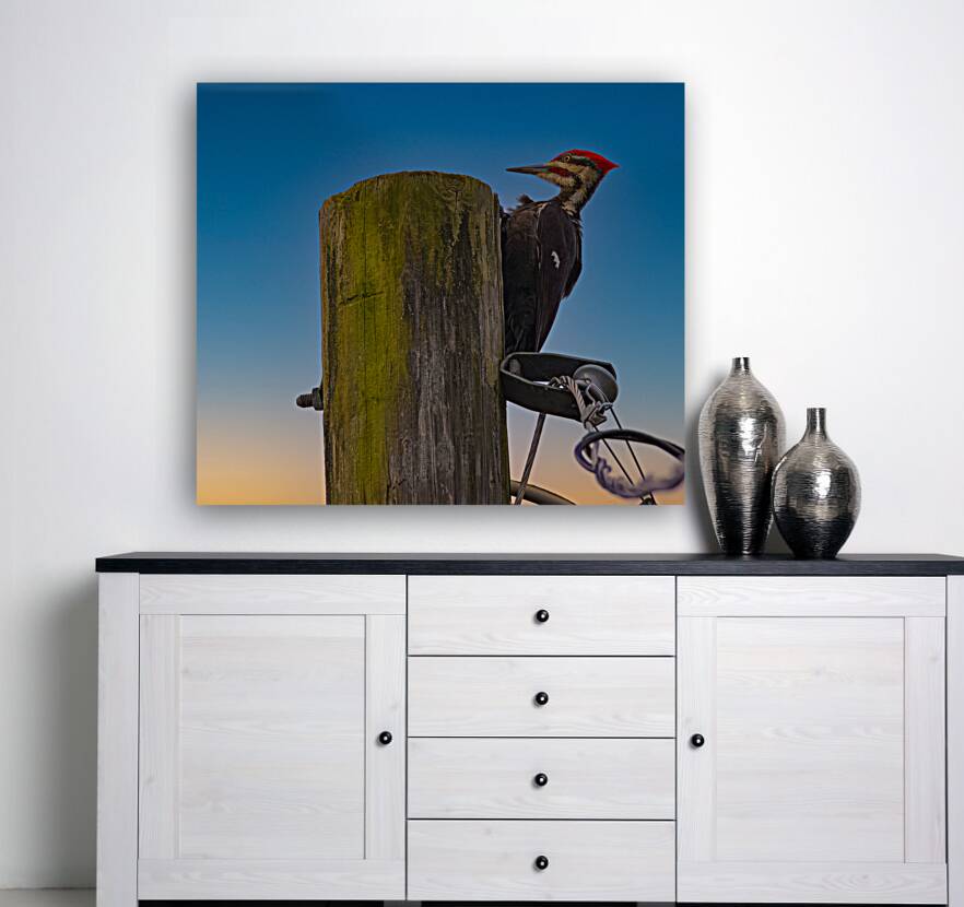 JBS 5368  Reproduction