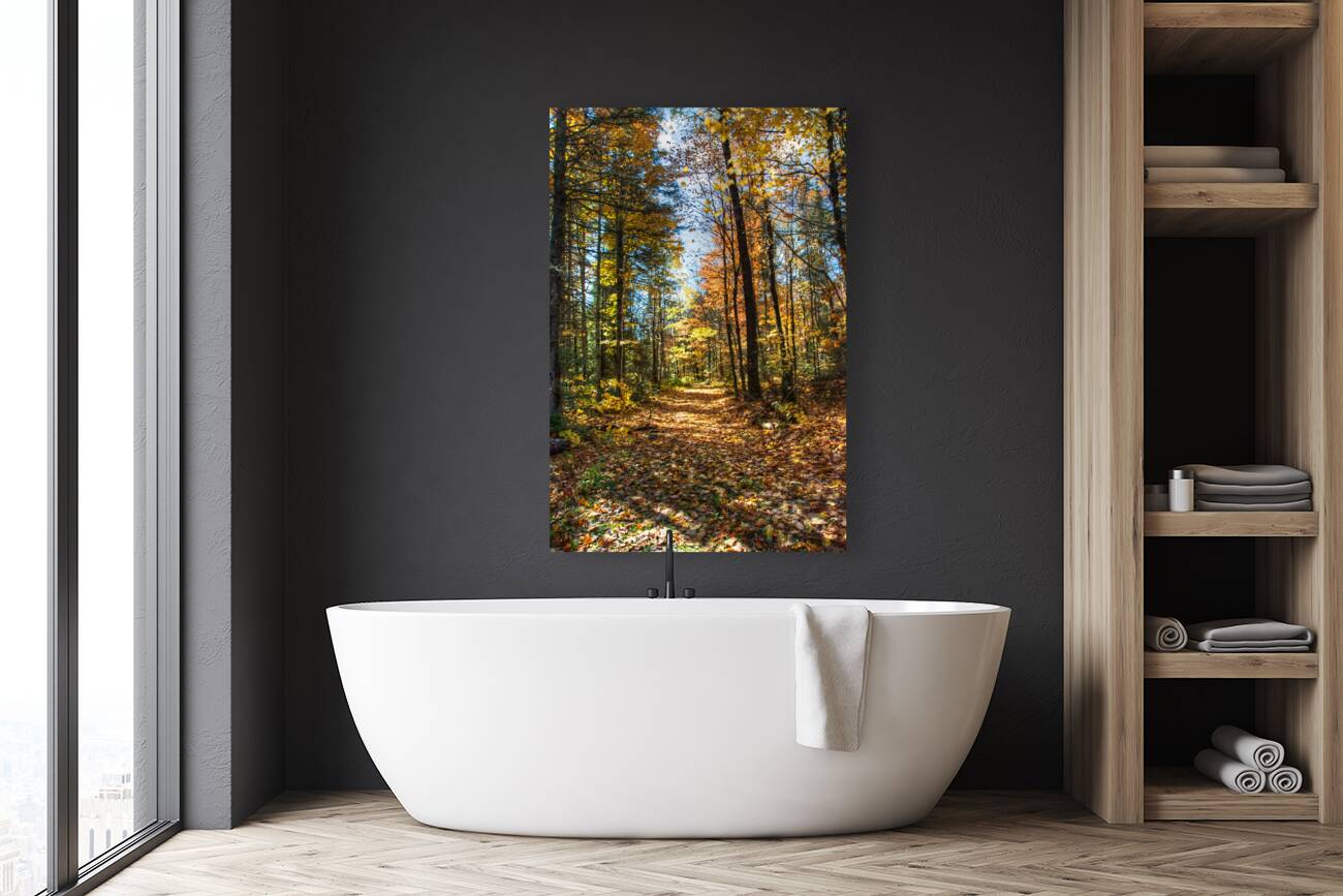 JBS 7125  Reproduction