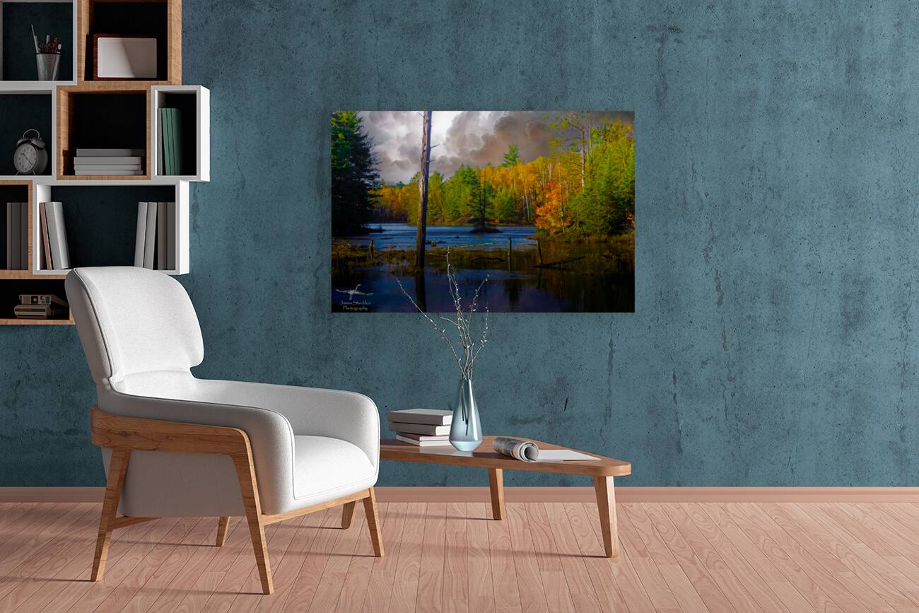  JBS4221  Reproduction