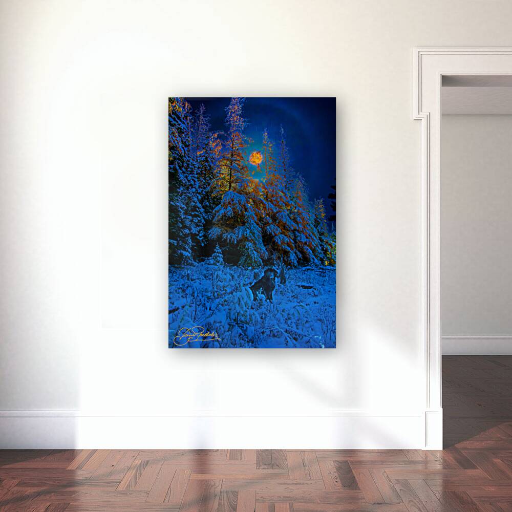 JBS 4968  Reproduction