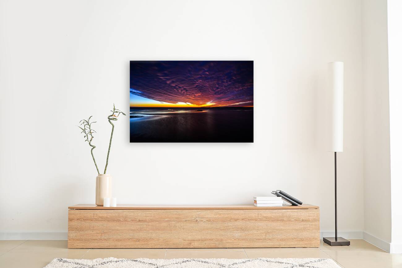 JBS 3798 Reproduction